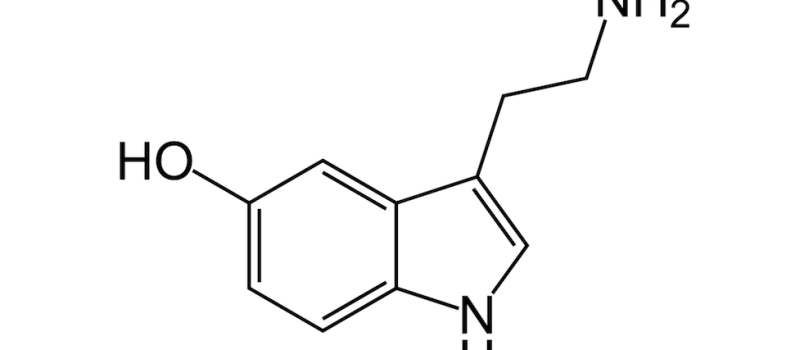 Serotonin – Der Neurotransmitter für Harmonie & Wohlbefinden