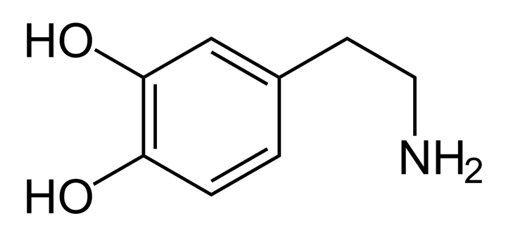 Dopamin – Der Neurotransmitter für Motivation & Antrieb