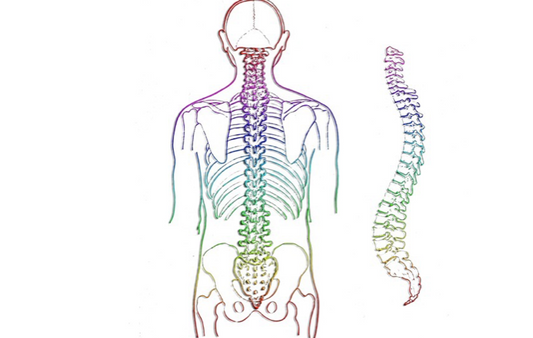Ask the Coach #24 – Hohlkreuz beim Training?
