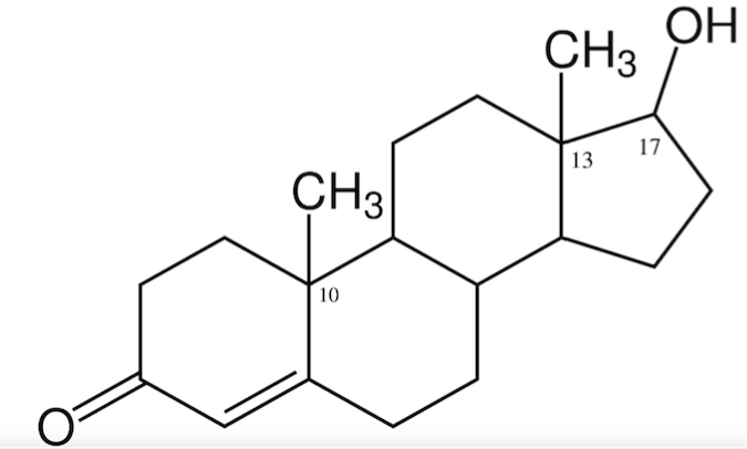 Ask the Coach #31 – Bor erhöht Testosteron?