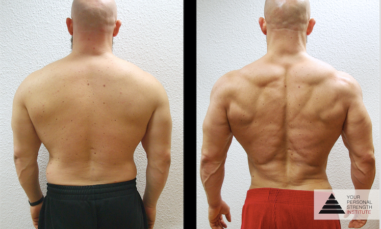 Strength back muscles sale