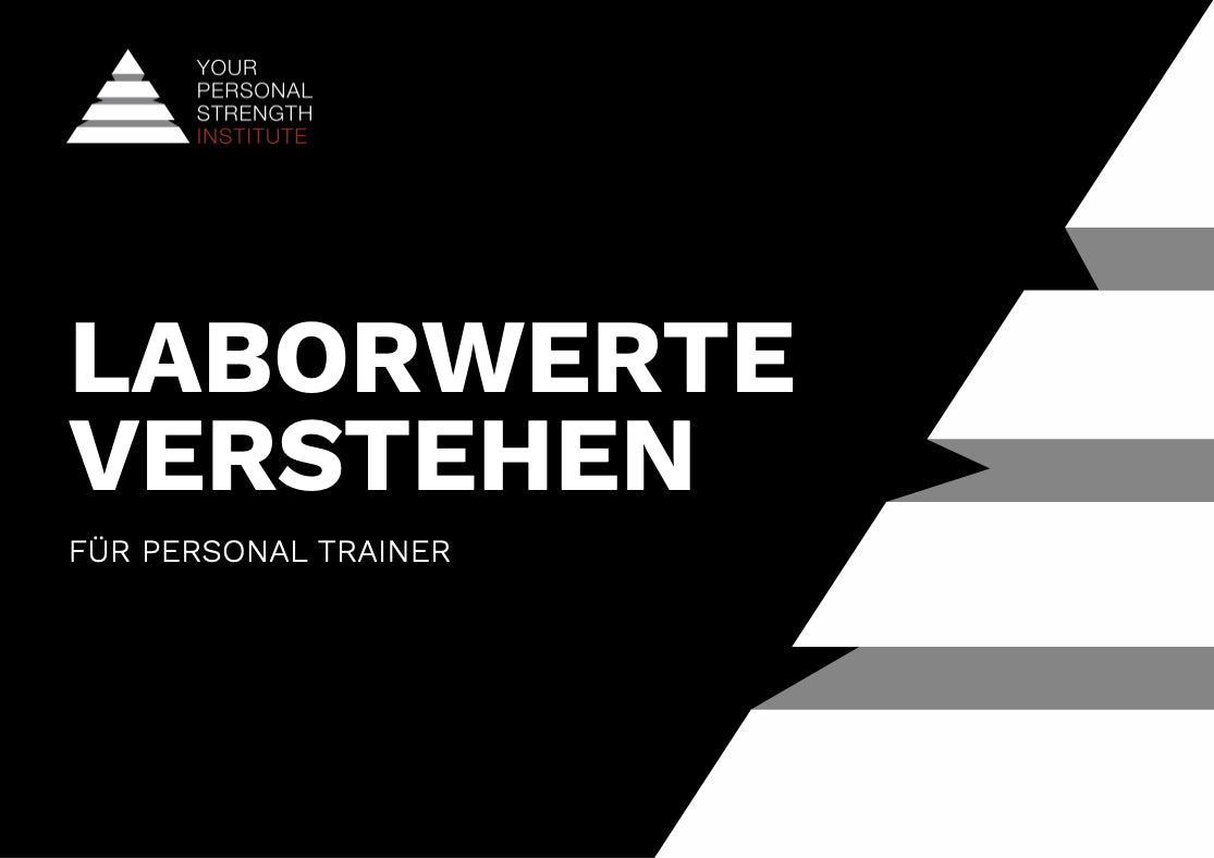 Laborwerte verstehen für Personal Trainer – Was sagt das Blut?