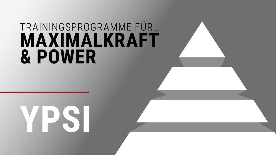 YPSI Trainingsprogramme für... Seminar Paket (6 Monate Zugang)