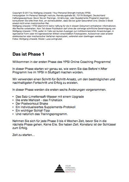 2.0 - Das YPSI Online Coaching Programm (deutsch)