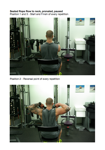 The YPSI Online Coaching Program (english)