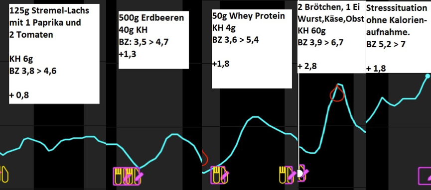 Cortisol & Blood Sugar