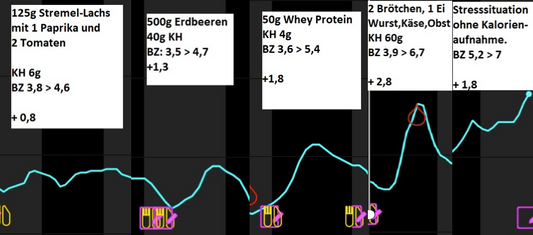Cortisol & Blood Sugar
