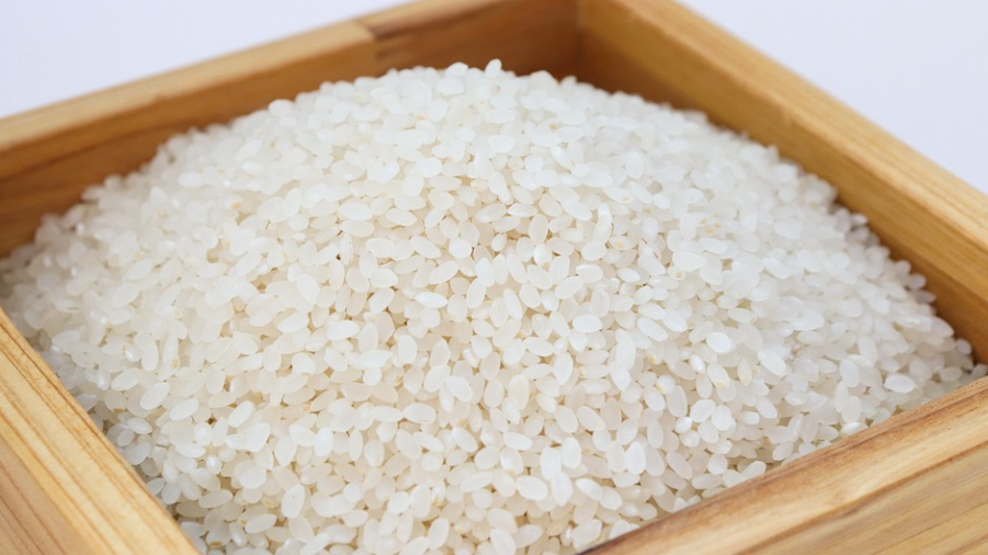 Hat Reisprotein ein unvollständiges Aminosäurenprofil?