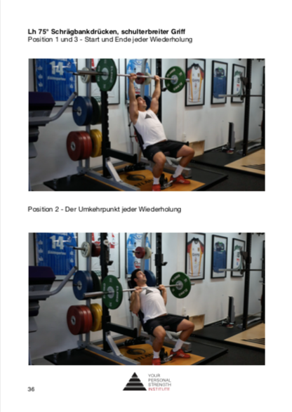 Das YPSI Home Workout Programm (deutsch)